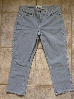 Women's Railroad Striped Ankle Jeans in Blue and White, CJ by Cookie Johnson